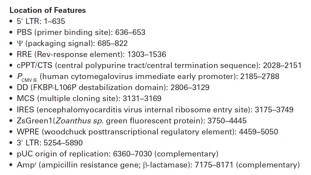 pLVX-PTuner-Green 载体特征